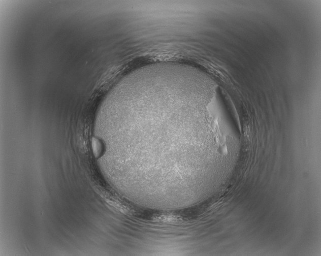 X0000060770503200512011615