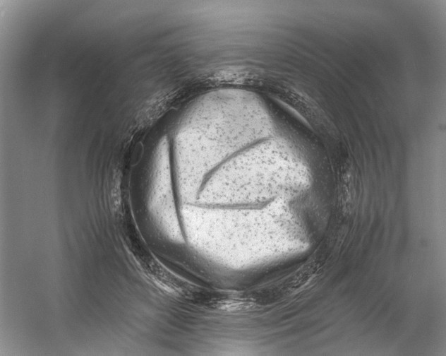 X0000060770504200512011615