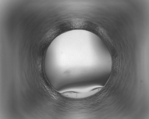 X0000060770505200512011615