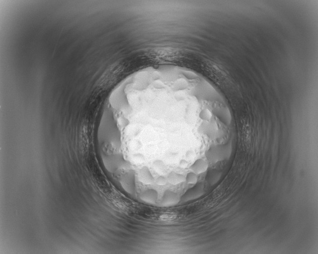 X0000060770506200512011615