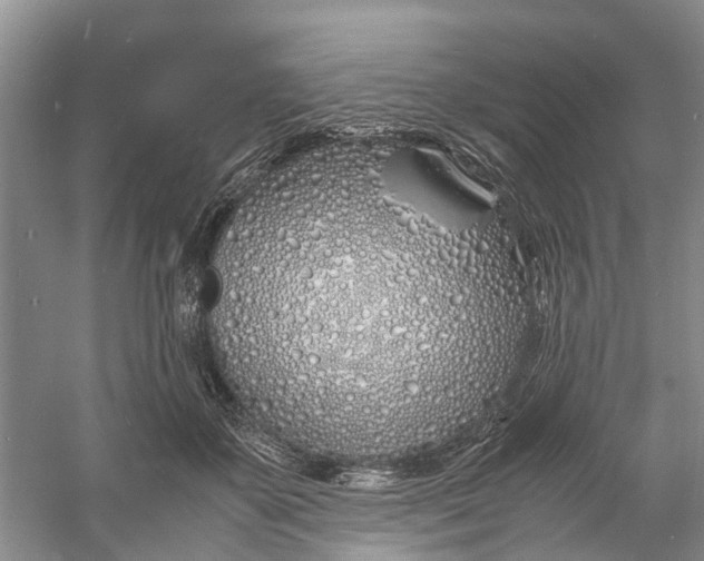 X0000060770507200512011615