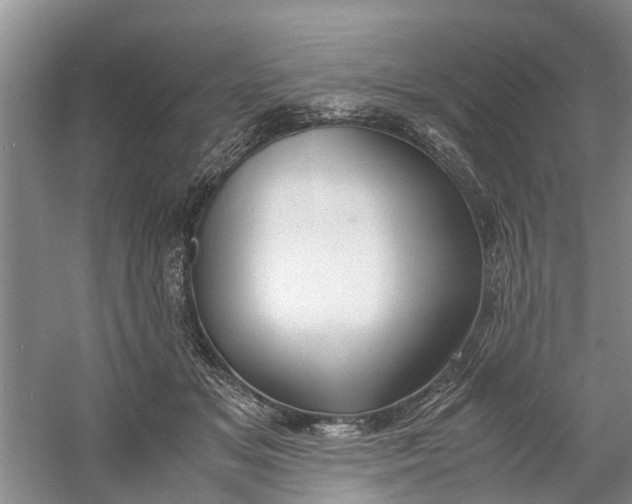 X0000060770509200512011615