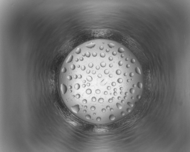 X0000060770510200512011615