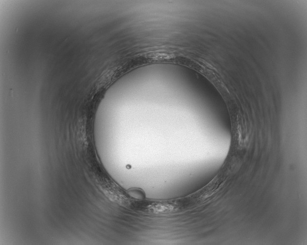 X0000060770512200512011615