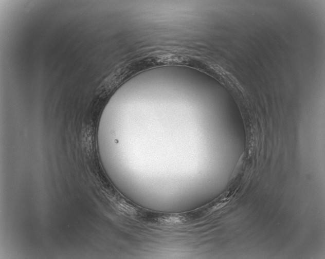 X0000060770513200512011615