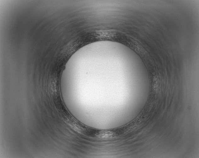 X0000060770514200512011615