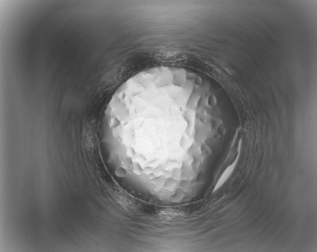 X0000060770515200512011615