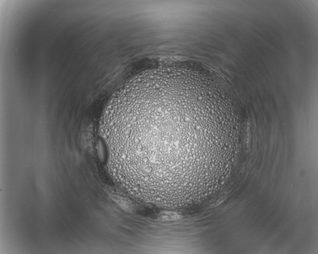 X0000060770519200512011615