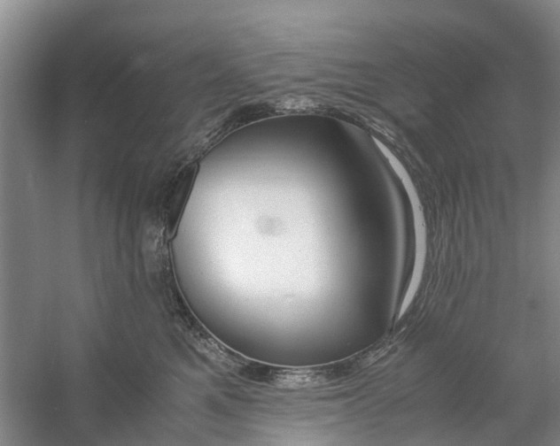 X0000060770521200512011615