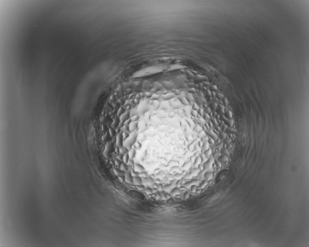 X0000060770523200512011615