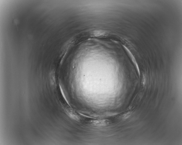 X0000060770524200512011615