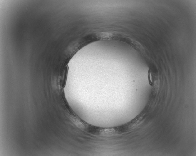 X0000060770525200512011615