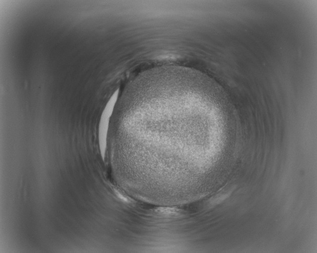 X0000060770528200512011615