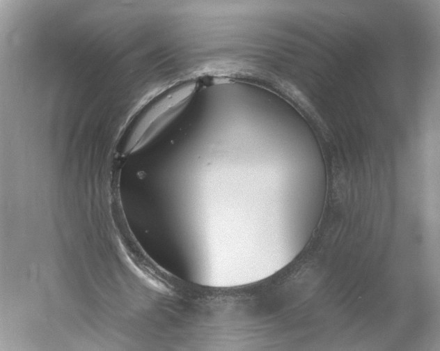 X0000060770530200512011614