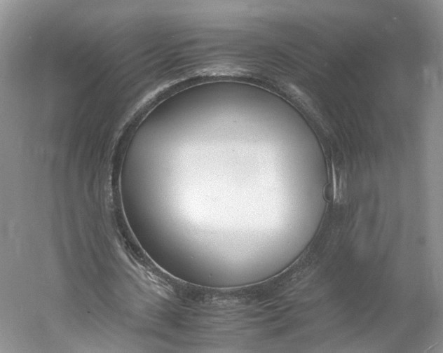 X0000060770531200512011614