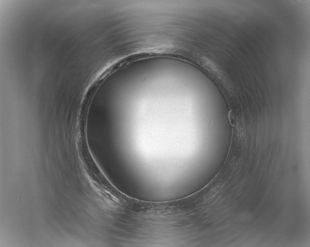 X0000060770532200512011614