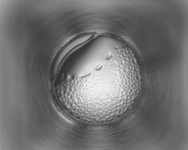 X0000060770533200512011614