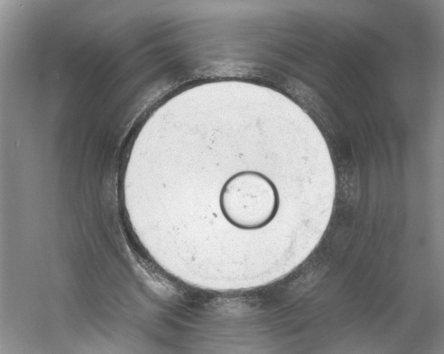 X0000060770534200512011614