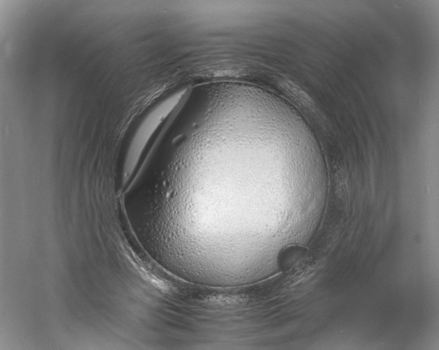 X0000060770537200512011614