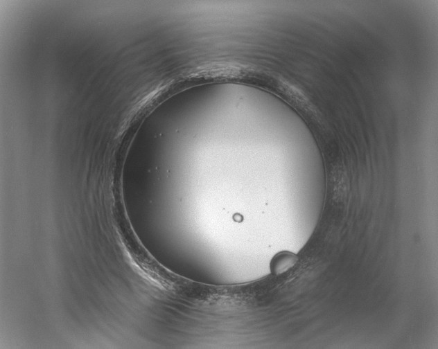 X0000060770538200512011614