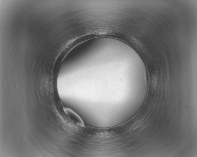 X0000060770540200512011614