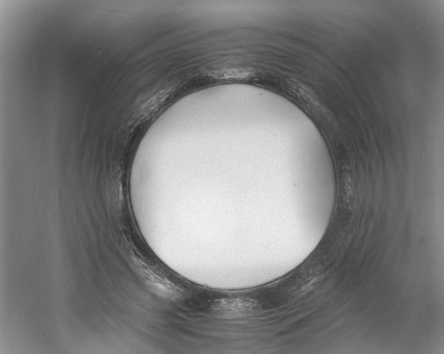 X0000060770541200512011614