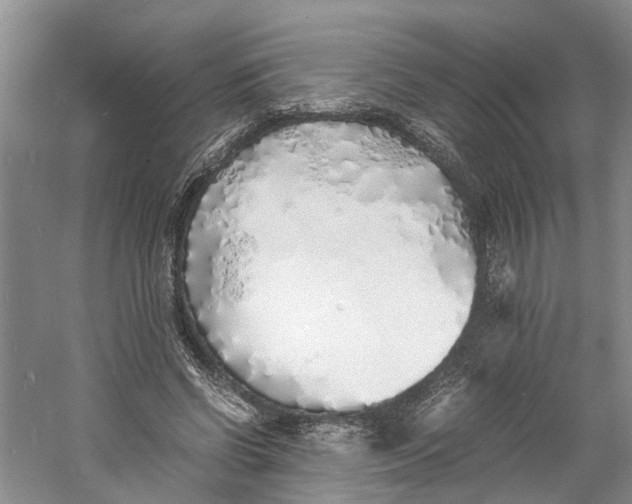 X0000060770542200512011614