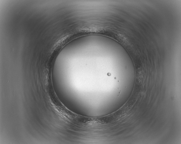 X0000060770544200512011614