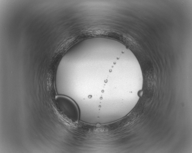 X0000060770546200512011614