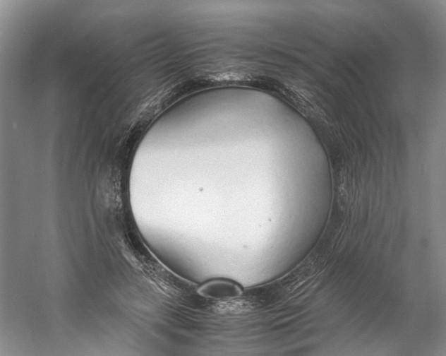 X0000060770547200512011614