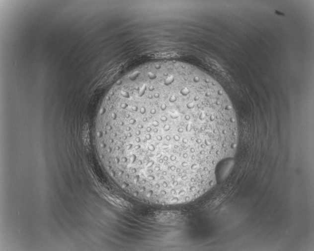 X0000060770549200512011614