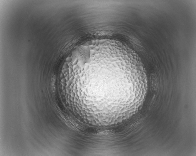 X0000060770550200512011614