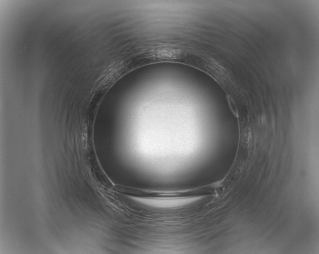 X0000060770552200512011614