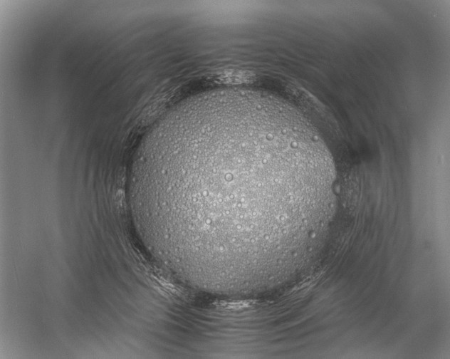 X0000060770553200512011615