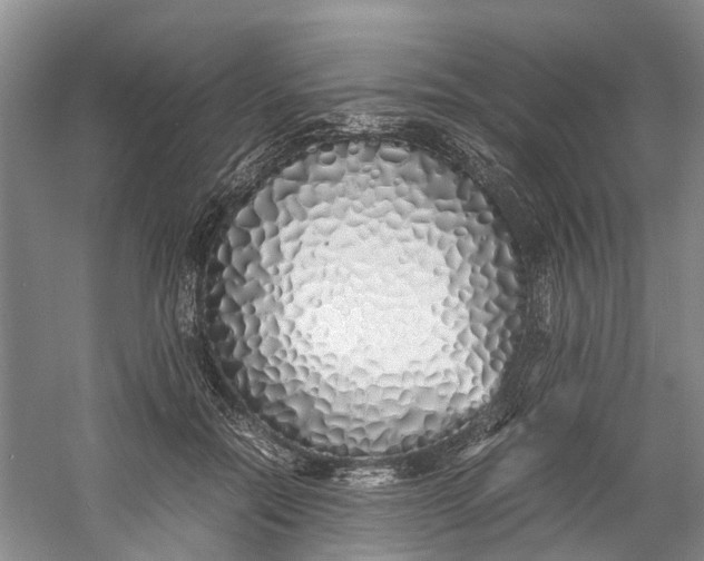 X0000060770554200512011615