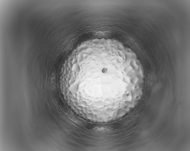 X0000060770557200512011615