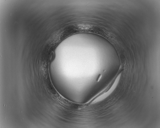 X0000060770559200512011615