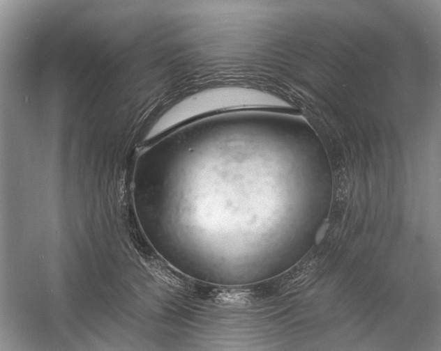 X0000060770560200512011615