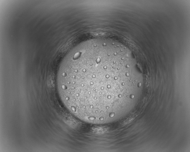 X0000060770561200512011615