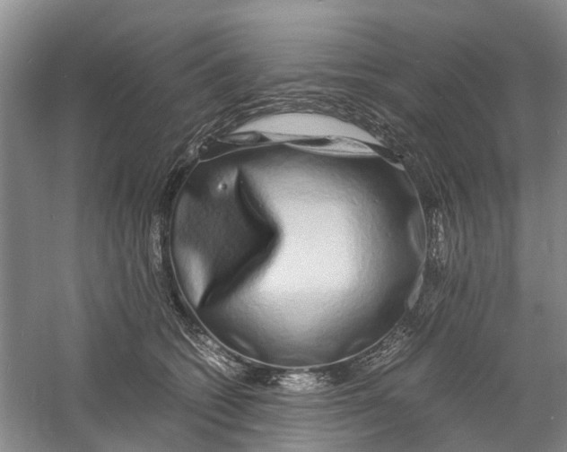 X0000060770562200512011615