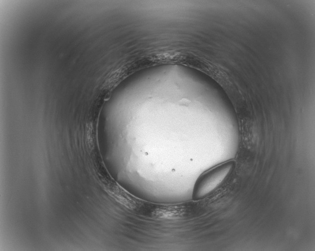 X0000060770563200512011615