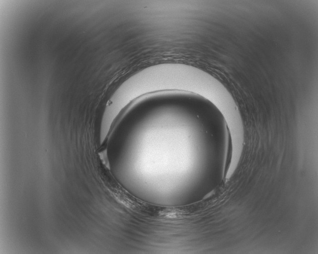 X0000060770564200512011615