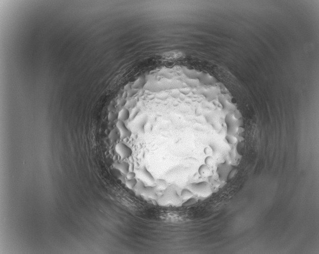 X0000060770565200512011615