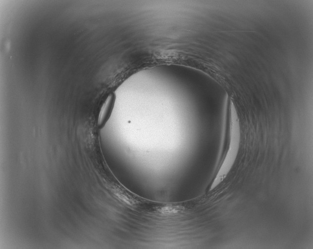 X0000060770566200512011615