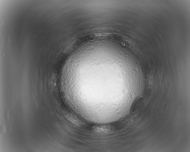 X0000060770567200512011615