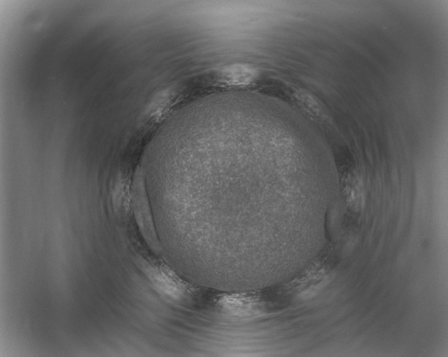 X0000060770568200512011615