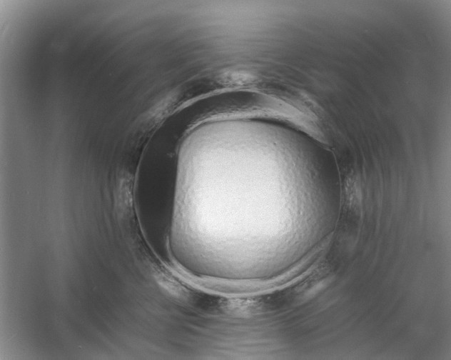 X0000060770570200512011615