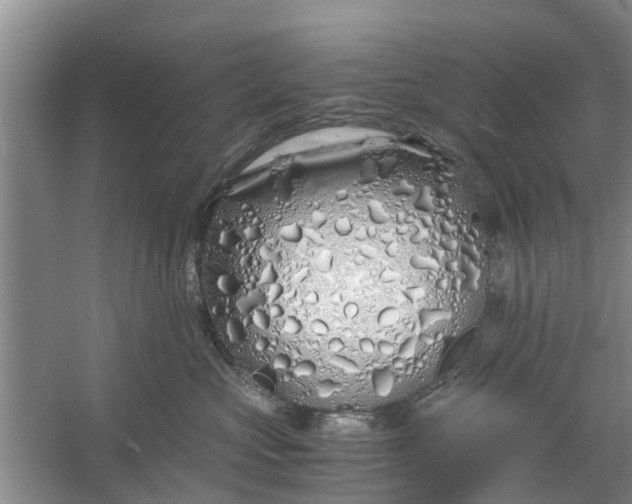 X0000060770573200512011615