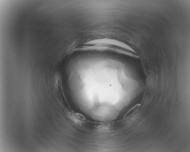 X0000060770574200512011615