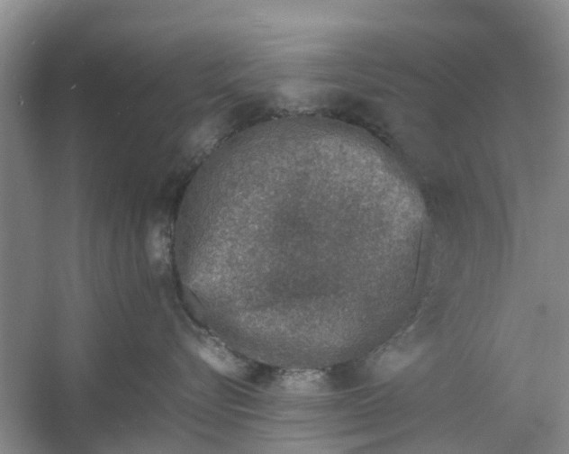 X0000060770576200512011615